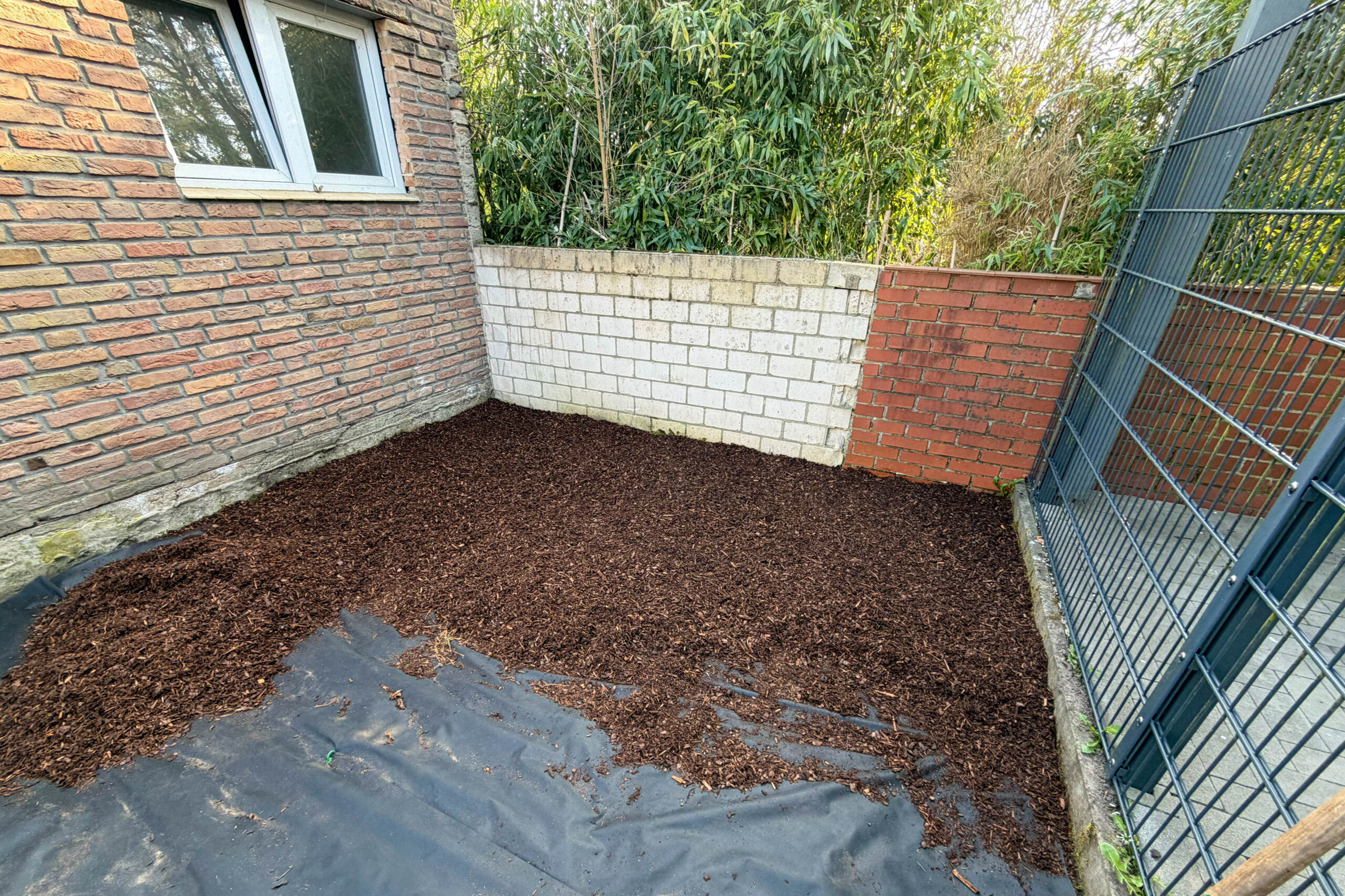 Gartenprofis_0023